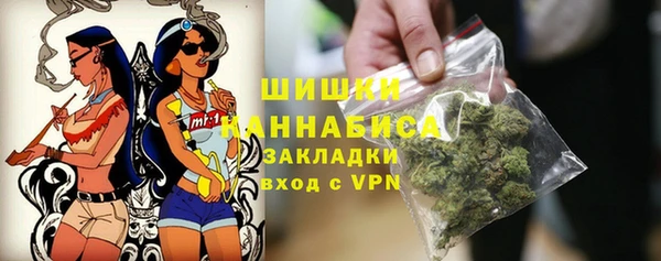 соль ск Алексин