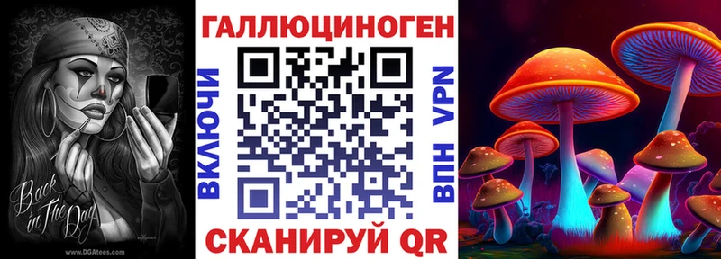 Псилоцибиновые грибы мухоморы  Купить закладки  Кинель 